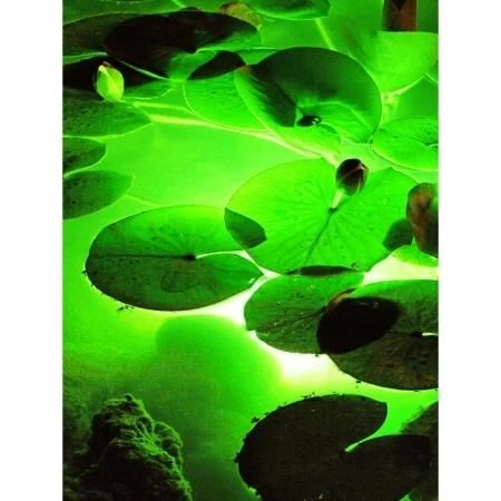 Ubbink Aqualight 30 Led Onderwaterverlicht 2 Ubbink Aqualight 30 Led Onderwaterverlicht - Afbeelding 2