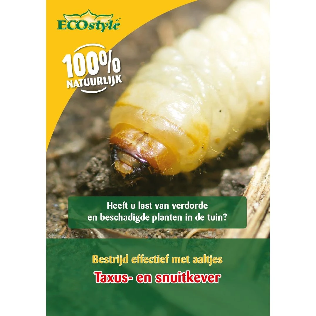 Ecostyle Aaltjes Tegen Larven Taxus-kever L 10 M² 1 Ecostyle Aaltjes Tegen Larven Taxus-kever L 10 M²