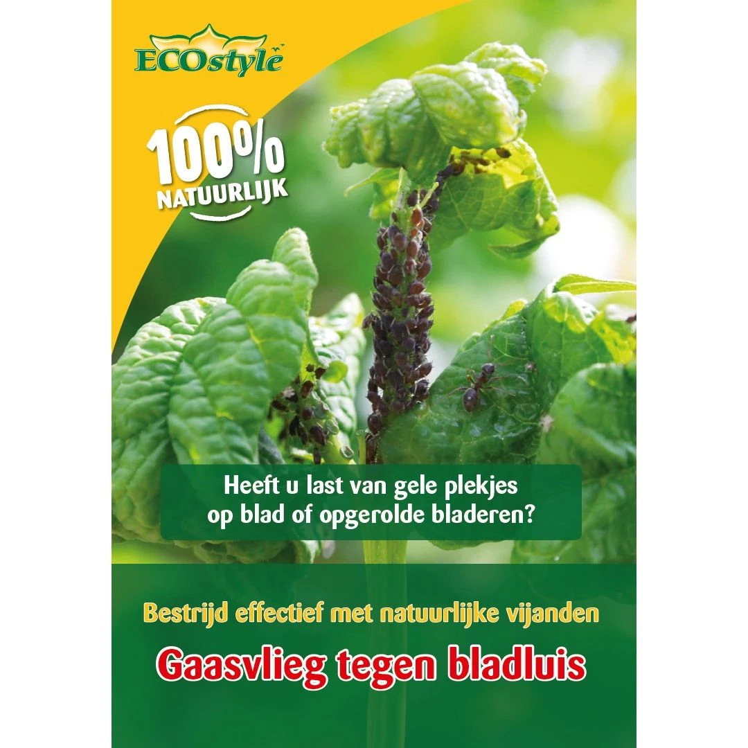 Ecostyle Gaasvlieg Tegen Bladluis 1 Ecostyle Gaasvlieg Tegen Bladluis