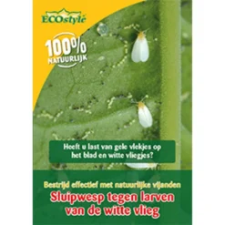Ecostyle Sluipwesp Tegen Larven Witte Vlieg