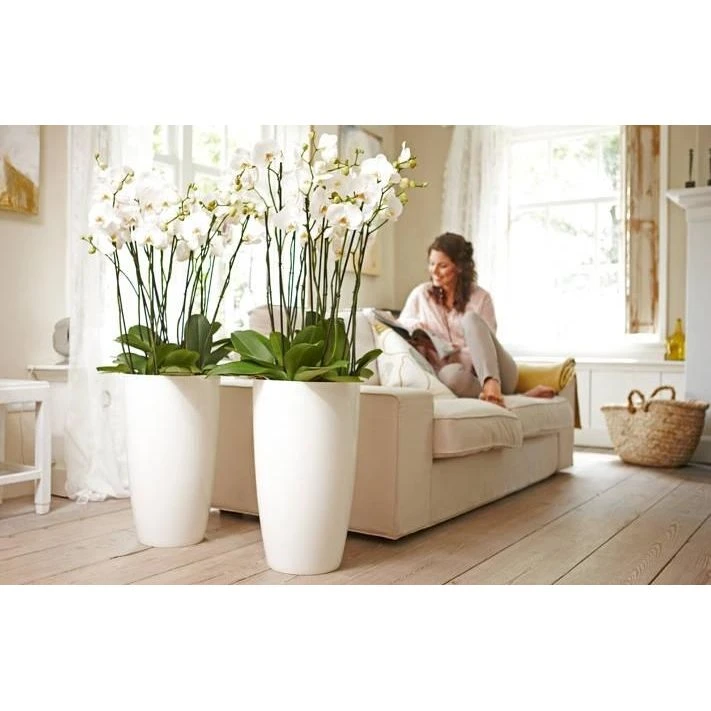 Elho Brussels Diamond Round High 27 White 2 Elho Brussels Diamond Round High 27 White - Afbeelding 2