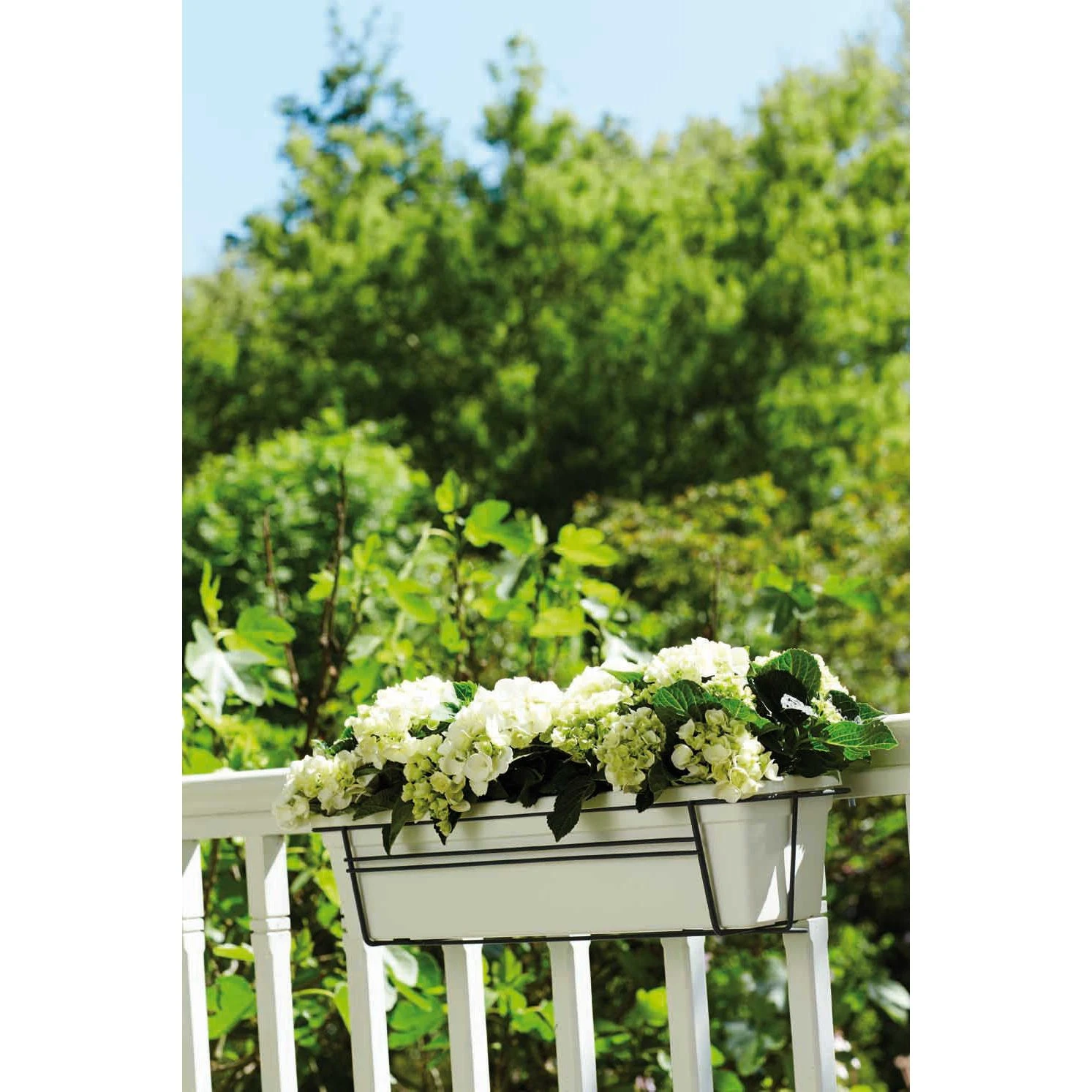Elho Green Basics Balcony Rack 60 Antraciet 2 Elho Green Basics Balcony Rack 60 Antraciet - Afbeelding 2