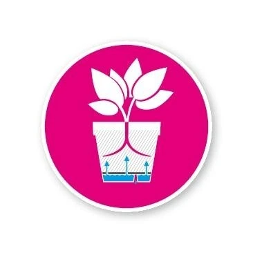 Elho Loft Urban Round High 35 Antraciet 3 Elho Loft Urban Round High 35 Antraciet - Afbeelding 3