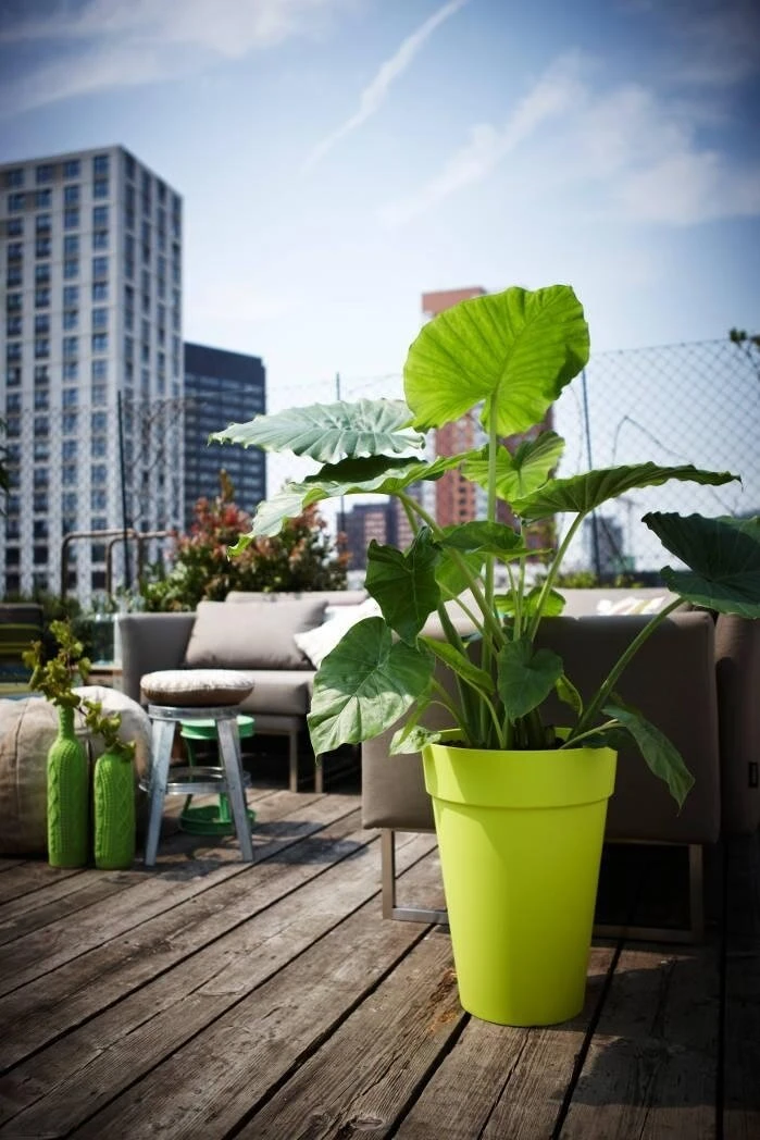 Elho Loft Urban Round High 35 Antraciet 2 Elho Loft Urban Round High 35 Antraciet - Afbeelding 2