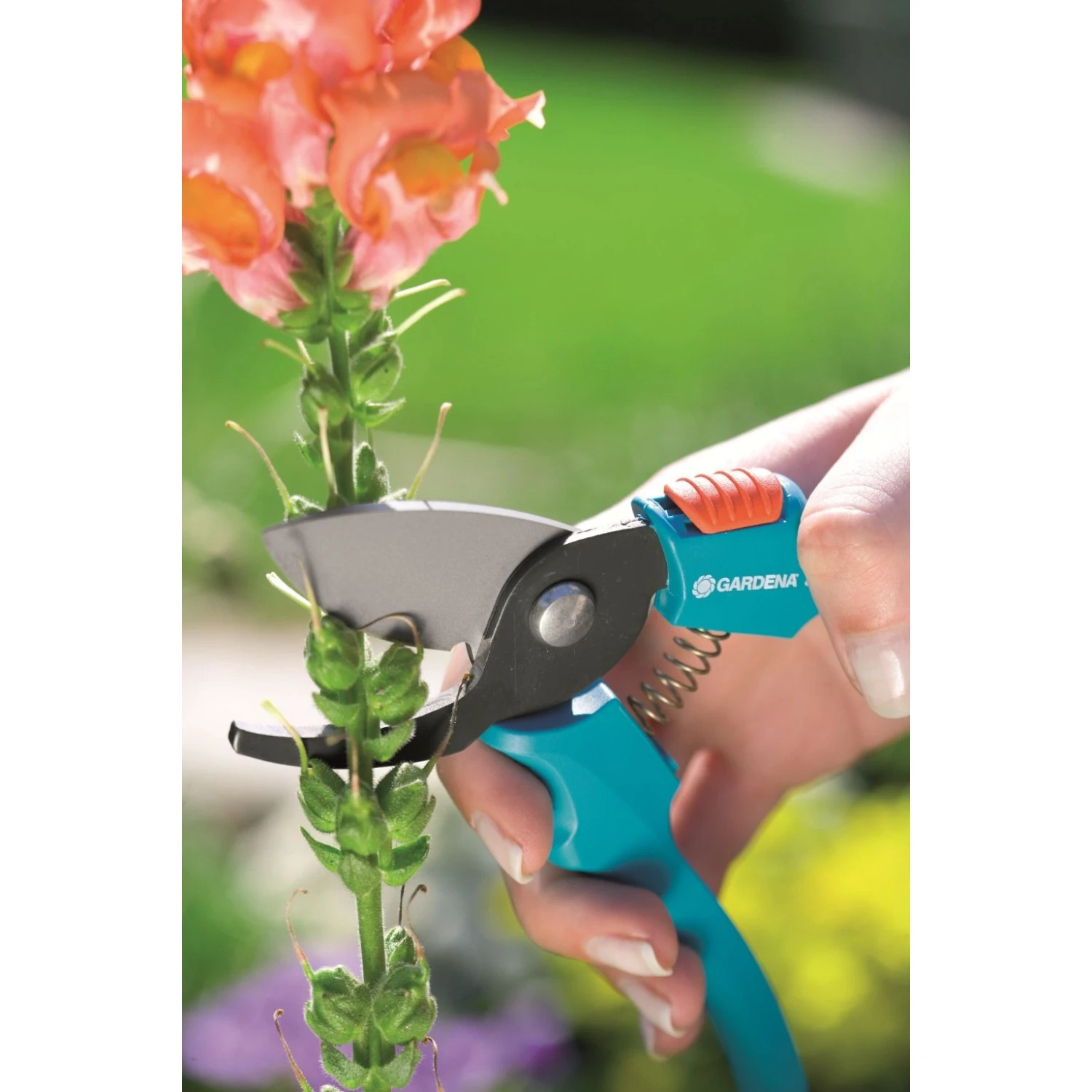 Gardena Classic Snoeischaar 2 Gardena Classic Snoeischaar - Afbeelding 2