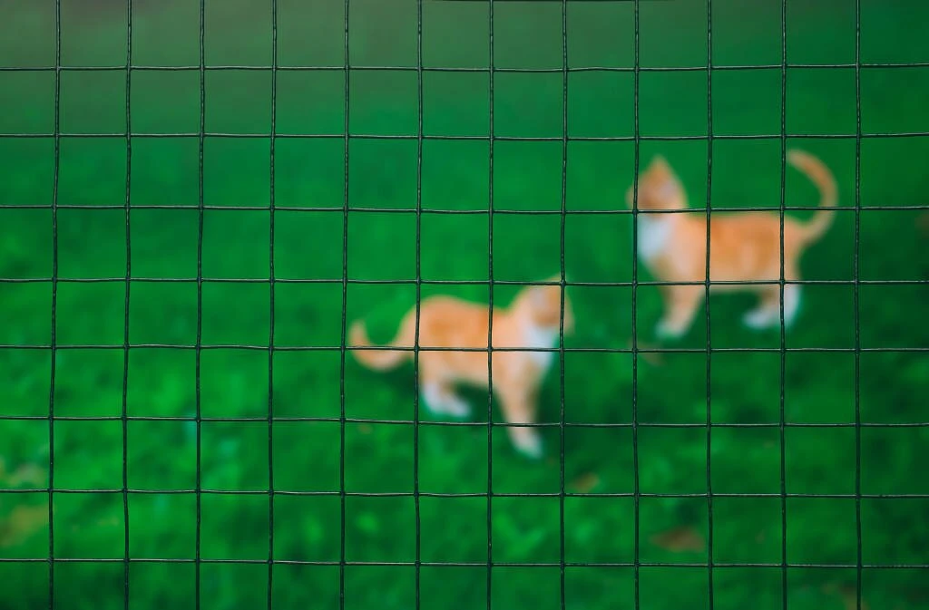 Nature Gaas Vierkant Geplastificeerd 50 Cm X 5 Meter 1 Nature Gaas Vierkant Geplastificeerd 50 Cm X 5 Meter