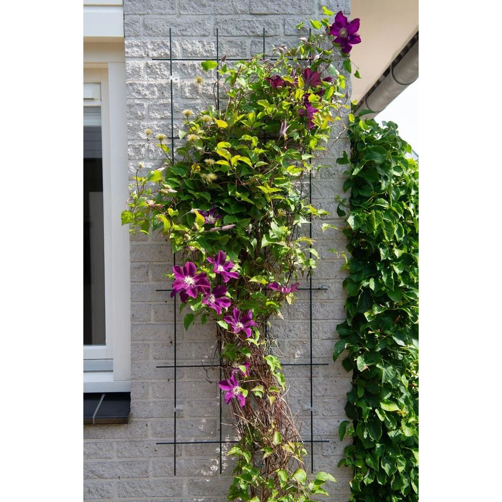 Nature Plantklimrek Metaal Groen 57 X 145 Cm 2 Nature Plantklimrek Metaal Groen 57 X 145 Cm - Afbeelding 2