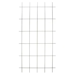 Nature Plantklimrek Metaal Groen 72,5 X 145 Cm