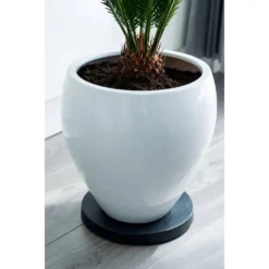 Nature Planttrolley Antraciet 39 Cm Rond 5 Nature Planttrolley Antraciet 39 Cm Rond -Goedkope Flora Lief Winkel nature planttrolley antraciet 39 cm rond 1611764637 2 l