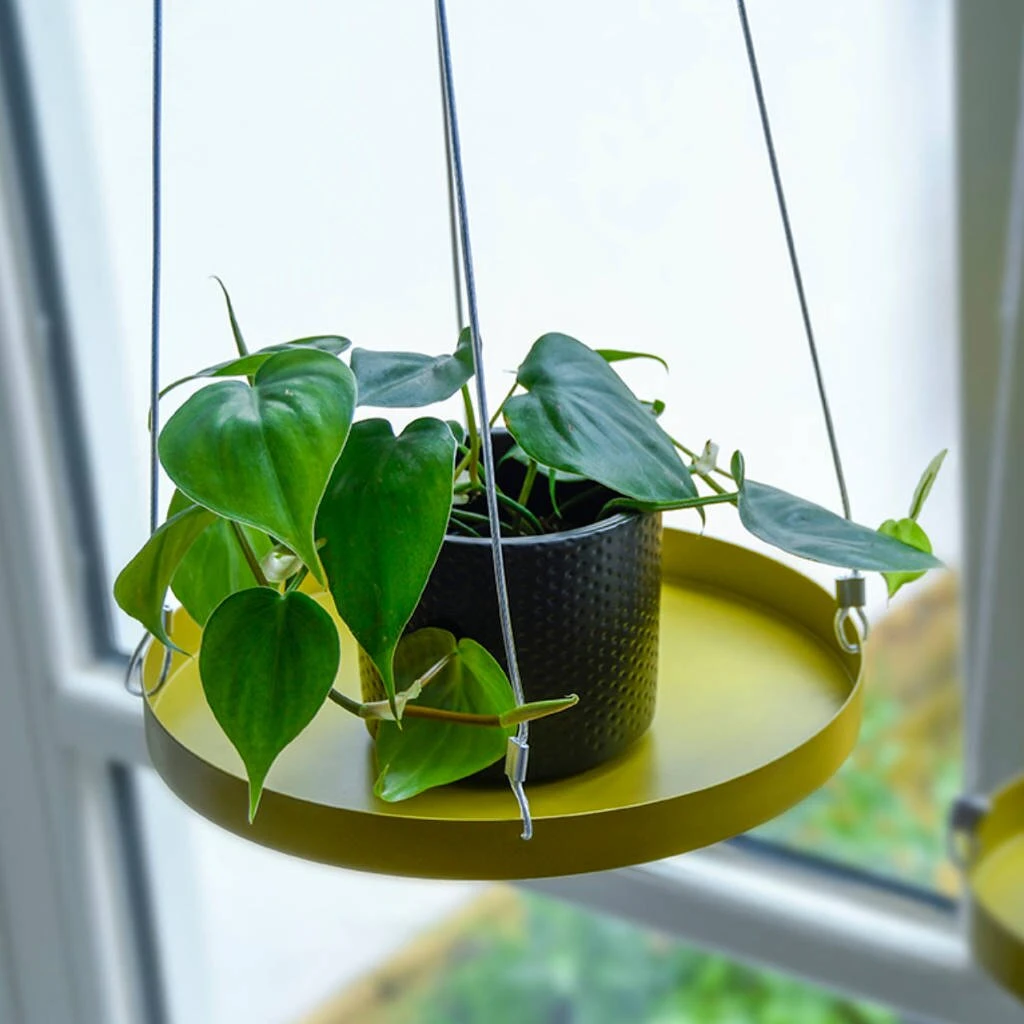 ESSCHERT DESIGN Plantenplateau Hanger D24 Cm Goud 2 ESSCHERT DESIGN Plantenplateau Hanger D24 Cm Goud - Afbeelding 2