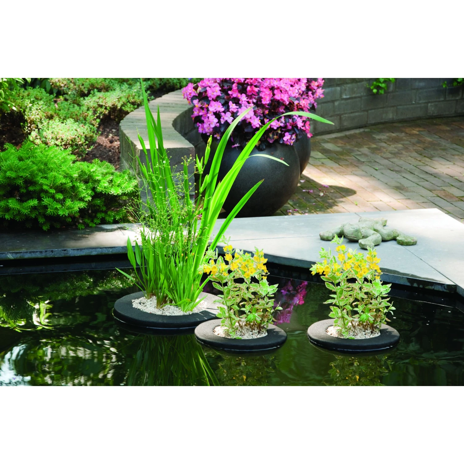 Velda Floating Plant Island Vierkant 25 Cm 2 Velda Floating Plant Island Vierkant 25 Cm - Afbeelding 2