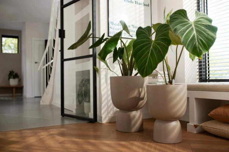 Goedkope Flora Lief Winkel -Goedkope Flora Lief Winkel 2